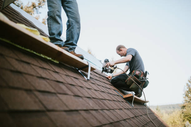 Quick and Trustworthy Emergency Roof Repair Services in Hamilton City, CA